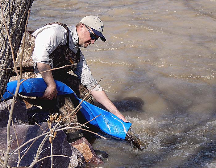 DNR stocks trout in area creeks News, Sports, Jobs The Journal